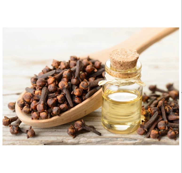 Clove Bud Oil
